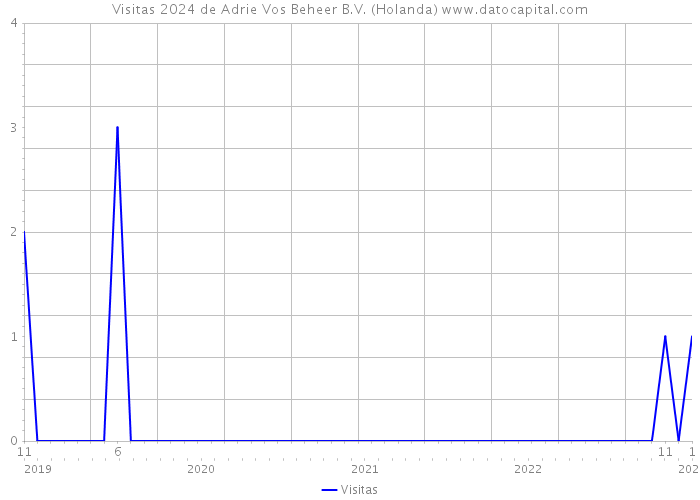 Visitas 2024 de Adrie Vos Beheer B.V. (Holanda) 