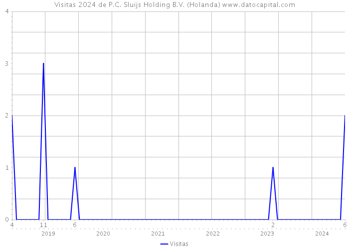 Visitas 2024 de P.C. Sluijs Holding B.V. (Holanda) 