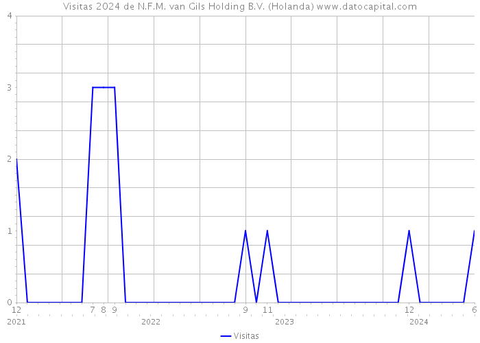 Visitas 2024 de N.F.M. van Gils Holding B.V. (Holanda) 