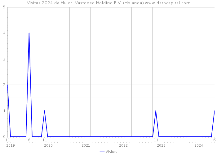 Visitas 2024 de Hujori Vastgoed Holding B.V. (Holanda) 