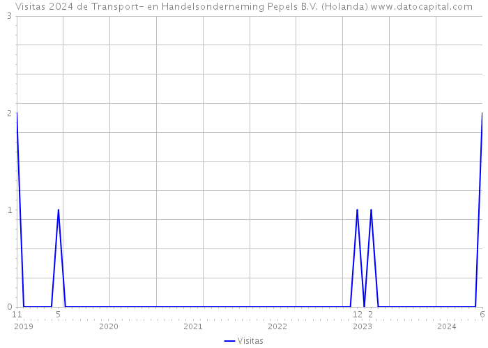 Visitas 2024 de Transport- en Handelsonderneming Pepels B.V. (Holanda) 