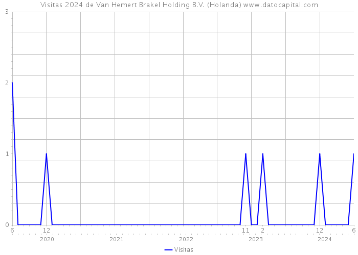 Visitas 2024 de Van Hemert Brakel Holding B.V. (Holanda) 