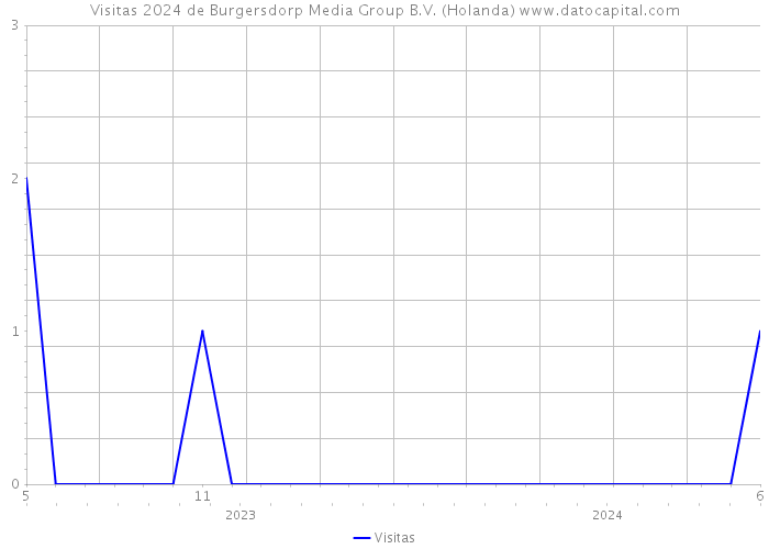Visitas 2024 de Burgersdorp Media Group B.V. (Holanda) 