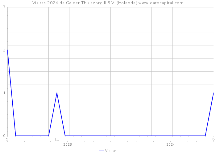 Visitas 2024 de Gelder Thuiszorg II B.V. (Holanda) 