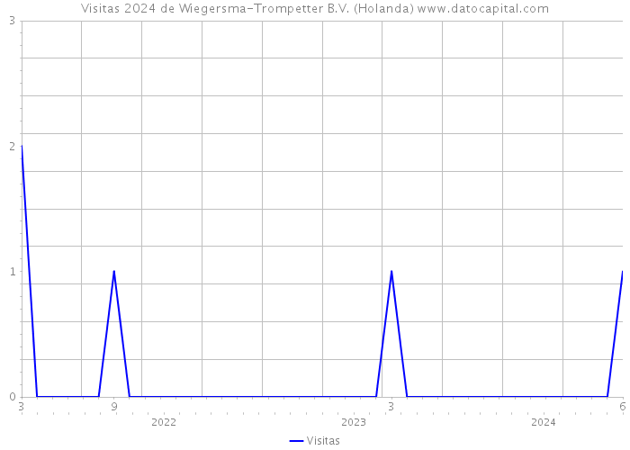 Visitas 2024 de Wiegersma-Trompetter B.V. (Holanda) 