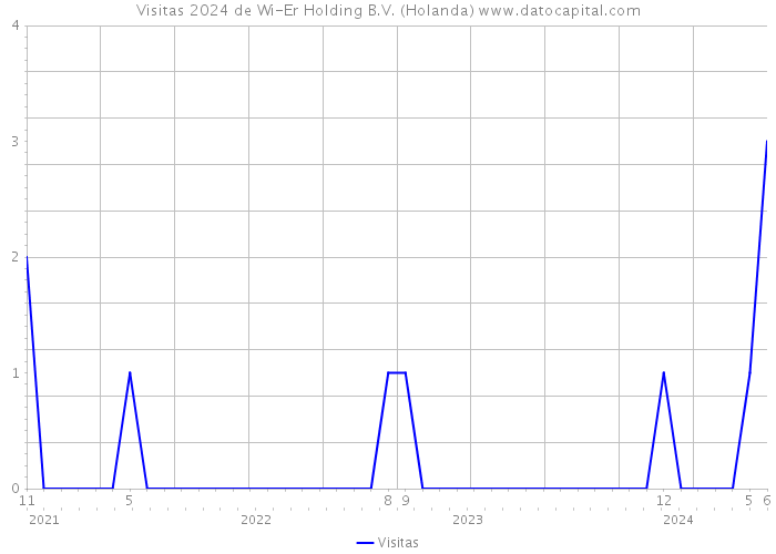 Visitas 2024 de Wi-Er Holding B.V. (Holanda) 