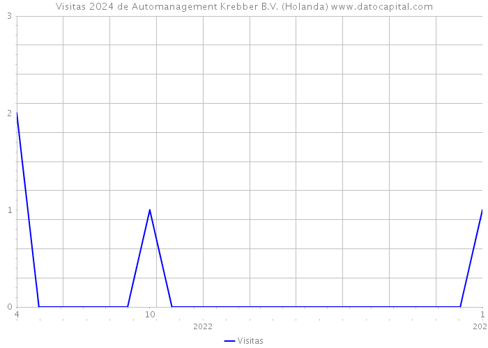 Visitas 2024 de Automanagement Krebber B.V. (Holanda) 