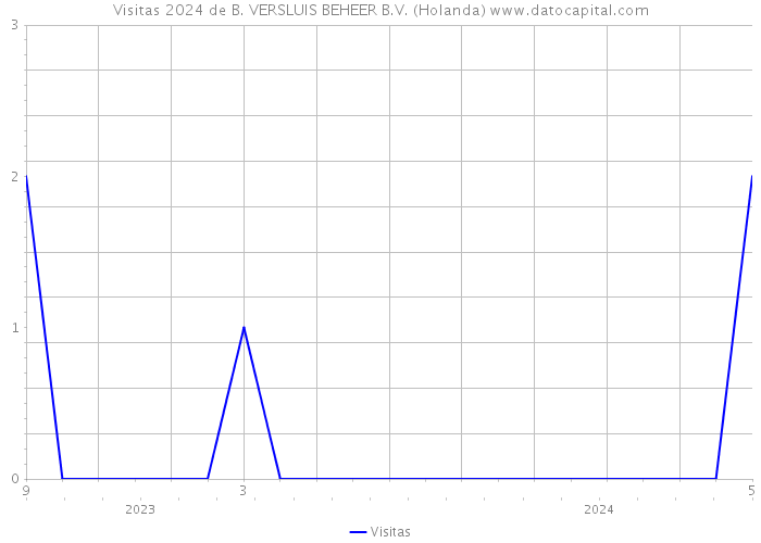 Visitas 2024 de B. VERSLUIS BEHEER B.V. (Holanda) 