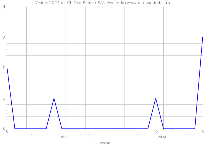 Visitas 2024 de ChiNed Beheer B.V. (Holanda) 