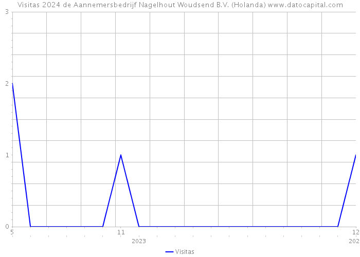 Visitas 2024 de Aannemersbedrijf Nagelhout Woudsend B.V. (Holanda) 