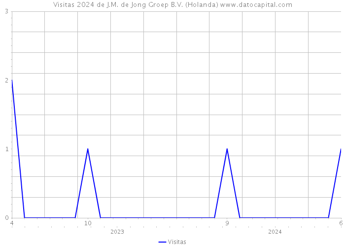 Visitas 2024 de J.M. de Jong Groep B.V. (Holanda) 