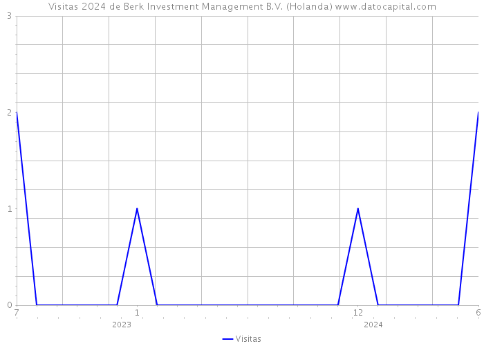 Visitas 2024 de Berk Investment Management B.V. (Holanda) 