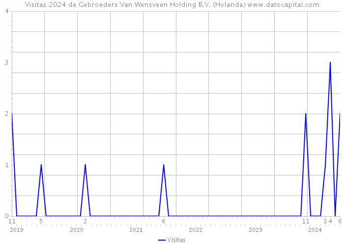 Visitas 2024 de Gebroeders Van Wensveen Holding B.V. (Holanda) 