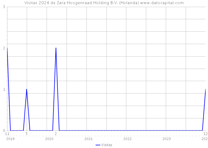 Visitas 2024 de Zara Hoogenraad Holding B.V. (Holanda) 