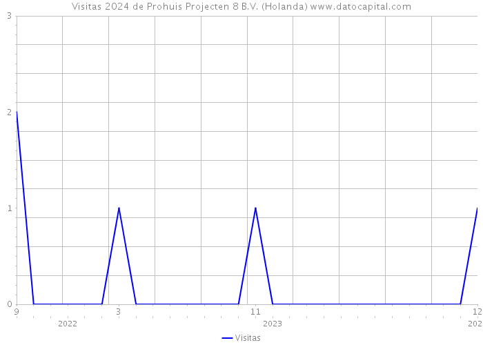 Visitas 2024 de Prohuis Projecten 8 B.V. (Holanda) 