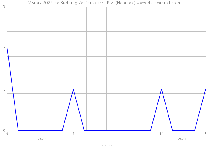 Visitas 2024 de Budding Zeefdrukkerij B.V. (Holanda) 