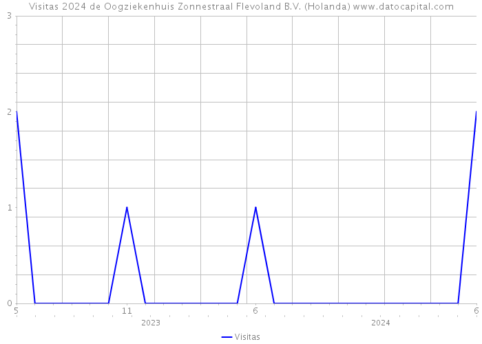 Visitas 2024 de Oogziekenhuis Zonnestraal Flevoland B.V. (Holanda) 