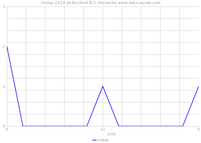 Visitas 2024 de Booltink B.V. (Holanda) 