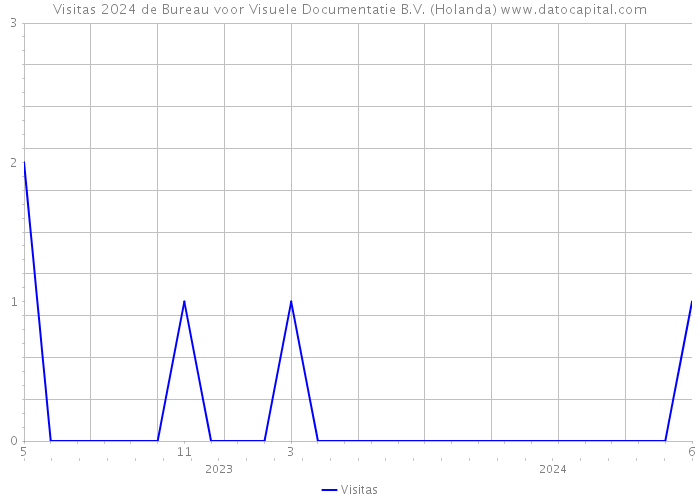 Visitas 2024 de Bureau voor Visuele Documentatie B.V. (Holanda) 