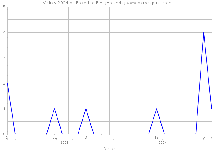 Visitas 2024 de Bokering B.V. (Holanda) 