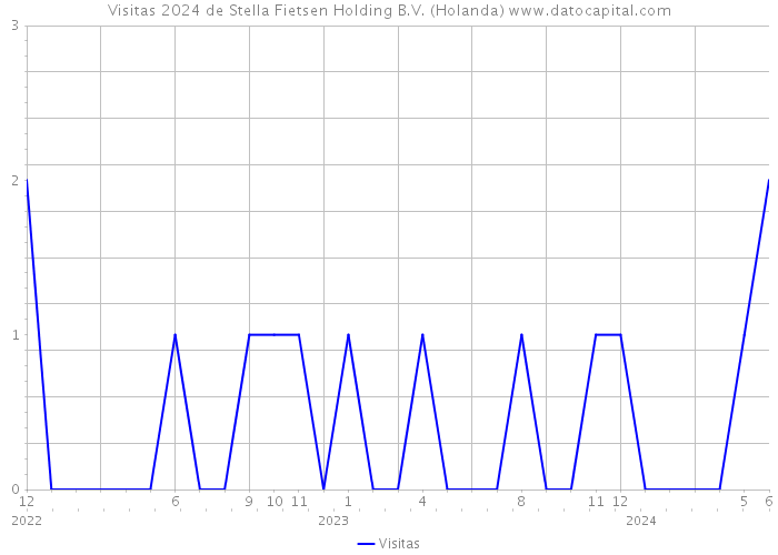 Visitas 2024 de Stella Fietsen Holding B.V. (Holanda) 