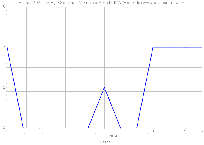 Visitas 2024 de H.J. Groothuis Vastgoed Almelo B.V. (Holanda) 