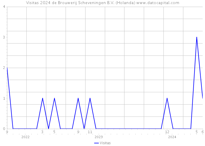 Visitas 2024 de Brouwerij Scheveningen B.V. (Holanda) 