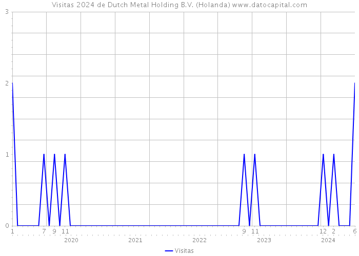 Visitas 2024 de Dutch Metal Holding B.V. (Holanda) 