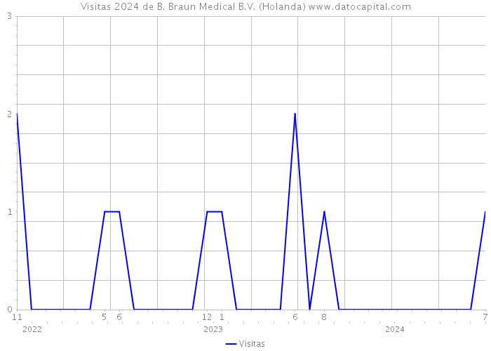 Visitas 2024 de B. Braun Medical B.V. (Holanda) 