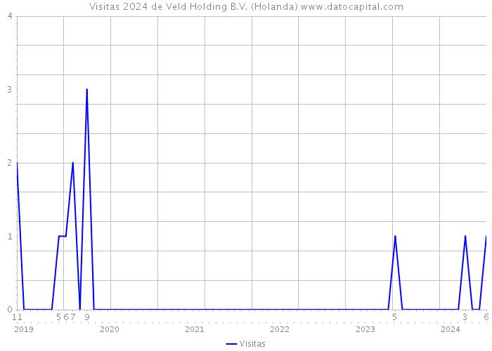 Visitas 2024 de Veld Holding B.V. (Holanda) 