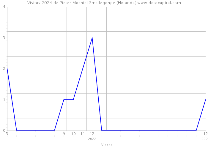 Visitas 2024 de Pieter Machiel Smallegange (Holanda) 