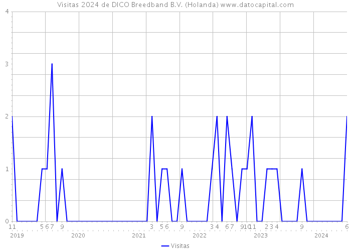 Visitas 2024 de DICO Breedband B.V. (Holanda) 