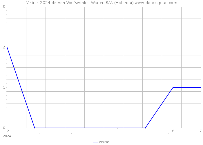 Visitas 2024 de Van Wolfswinkel Wonen B.V. (Holanda) 