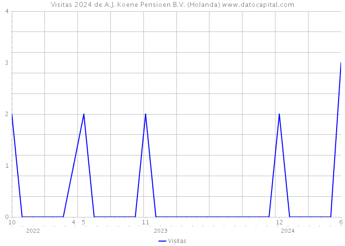 Visitas 2024 de A.J. Koene Pensioen B.V. (Holanda) 