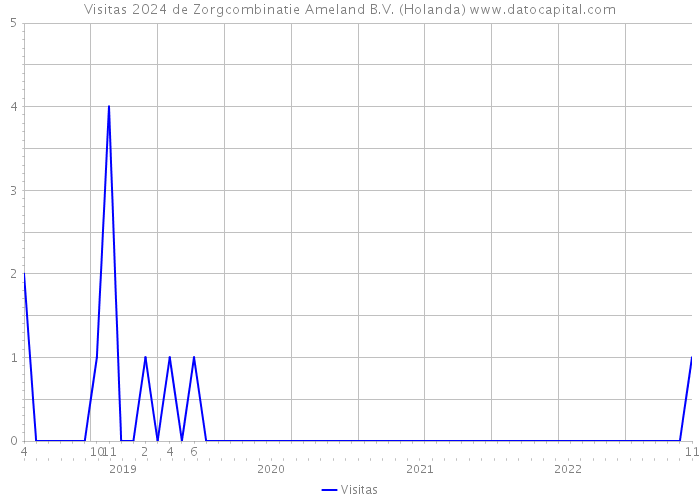 Visitas 2024 de Zorgcombinatie Ameland B.V. (Holanda) 