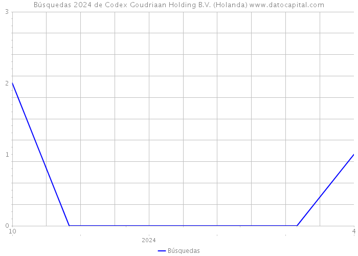 Búsquedas 2024 de Codex Goudriaan Holding B.V. (Holanda) 