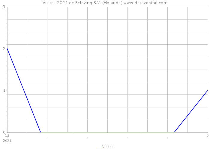 Visitas 2024 de Beleving B.V. (Holanda) 