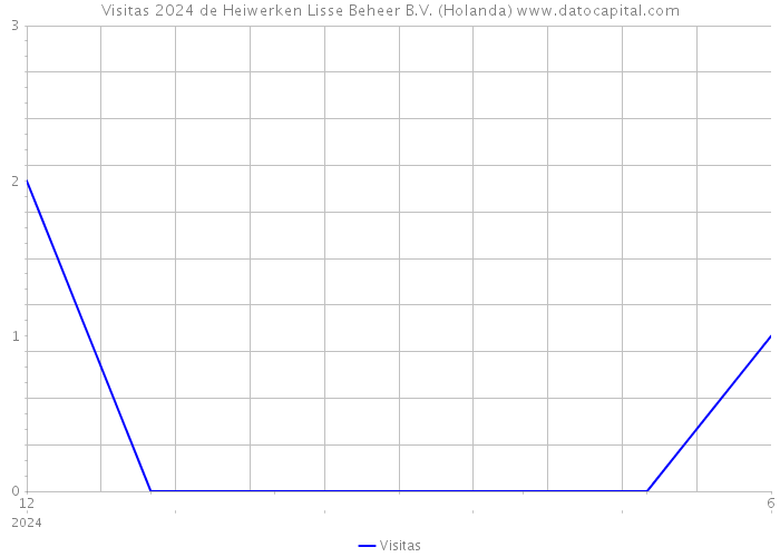 Visitas 2024 de Heiwerken Lisse Beheer B.V. (Holanda) 