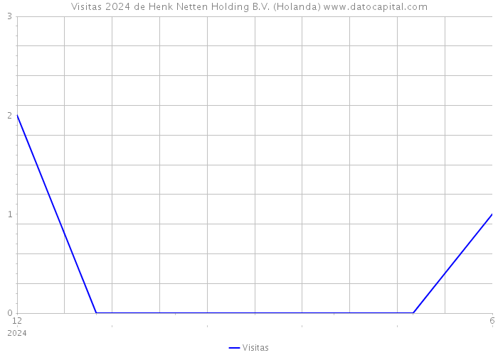 Visitas 2024 de Henk Netten Holding B.V. (Holanda) 