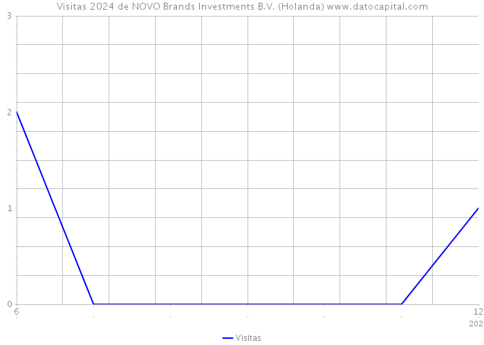 Visitas 2024 de NOVO Brands Investments B.V. (Holanda) 