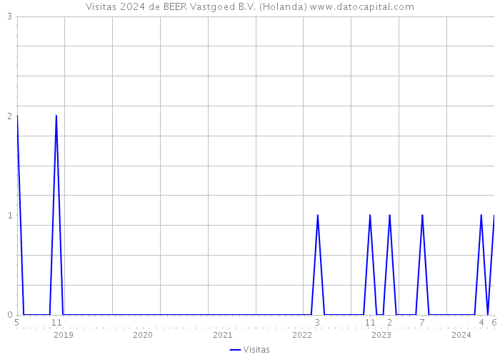 Visitas 2024 de BEER Vastgoed B.V. (Holanda) 