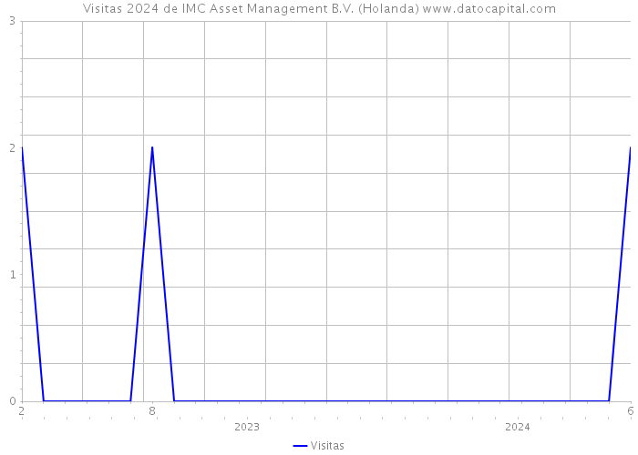 Visitas 2024 de IMC Asset Management B.V. (Holanda) 