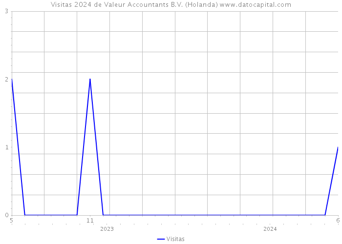 Visitas 2024 de Valeur Accountants B.V. (Holanda) 