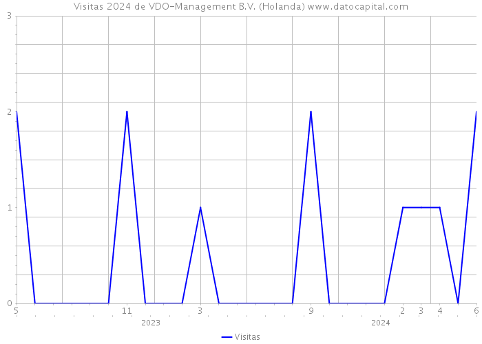 Visitas 2024 de VDO-Management B.V. (Holanda) 