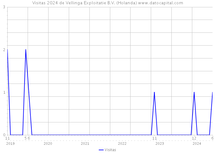 Visitas 2024 de Vellinga Exploitatie B.V. (Holanda) 