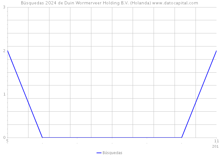 Búsquedas 2024 de Duin Wormerveer Holding B.V. (Holanda) 