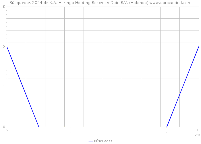 Búsquedas 2024 de K.A. Heringa Holding Bosch en Duin B.V. (Holanda) 