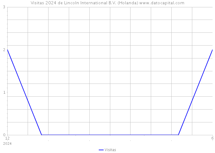 Visitas 2024 de Lincoln International B.V. (Holanda) 