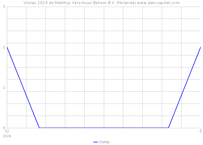 Visitas 2024 de Matthijs Verschuur Beheer B.V. (Holanda) 
