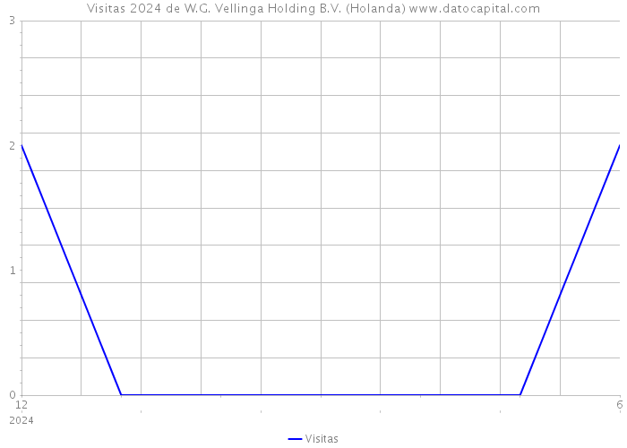 Visitas 2024 de W.G. Vellinga Holding B.V. (Holanda) 